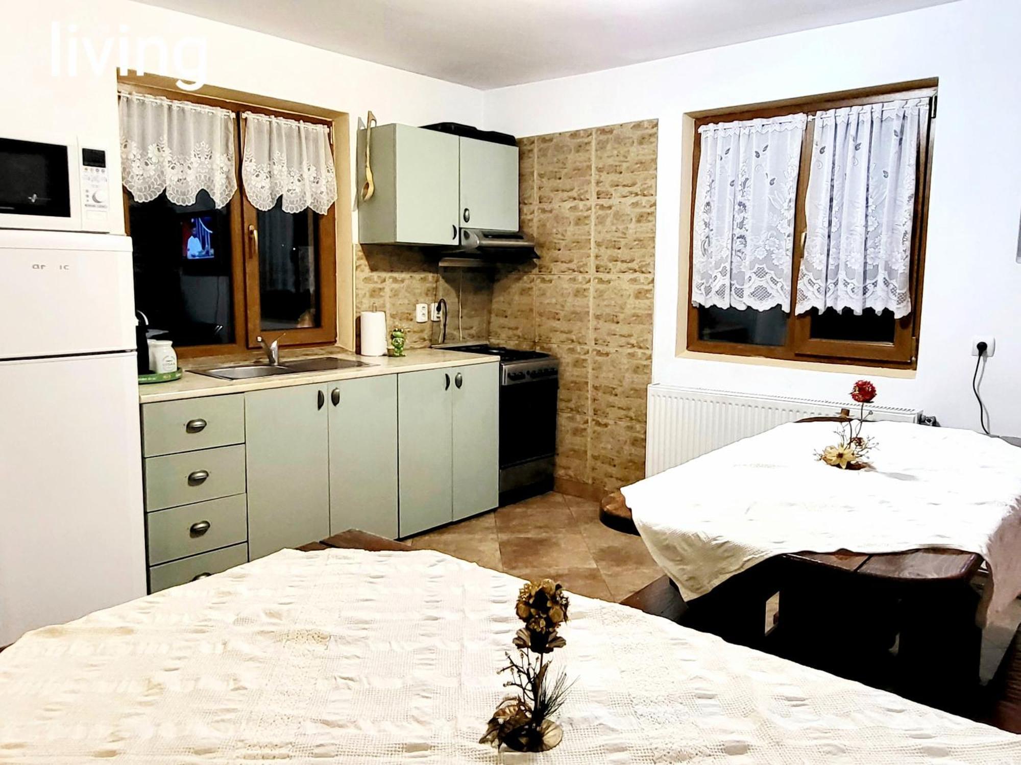 Vila Dariana Ватра Дорней Екстериор снимка