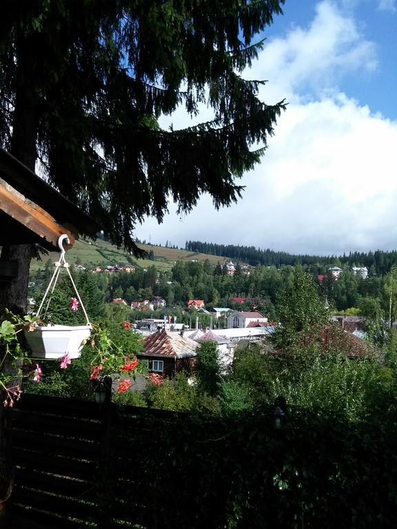 Vila Dariana Ватра Дорней Екстериор снимка