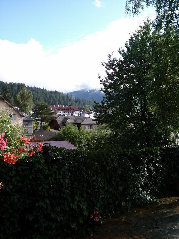 Vila Dariana Ватра Дорней Екстериор снимка