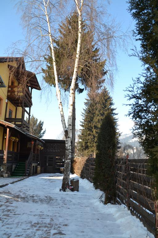 Vila Dariana Ватра Дорней Екстериор снимка