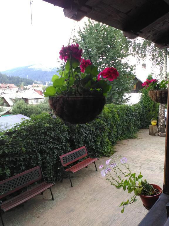 Vila Dariana Ватра Дорней Екстериор снимка