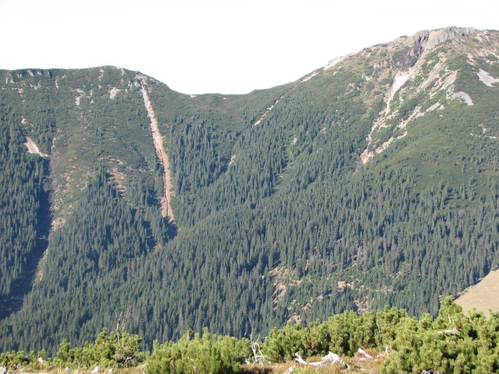 Vila Dariana Ватра Дорней Екстериор снимка